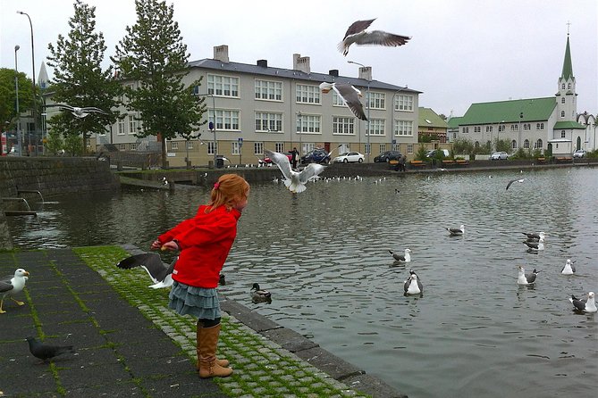 Reykjavik Food Tour and City Walk - PRIVATE TOUR - Ending the Tour at Reykjavik’s Old Harbour