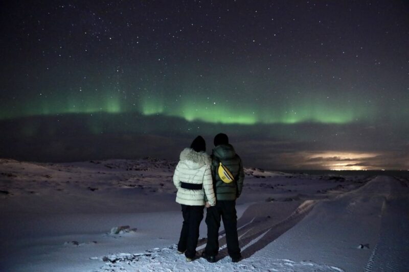 Reykjavík: Golden Circle, Blue Lagoon & Northern Lights Tour - What Sets This Tour Apart from Others