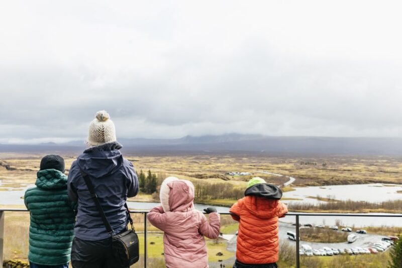 Reykjavik: Golden Circle, Crater & Blue Lagoon Minibus Tour - Transportation, Guide, and Comfort