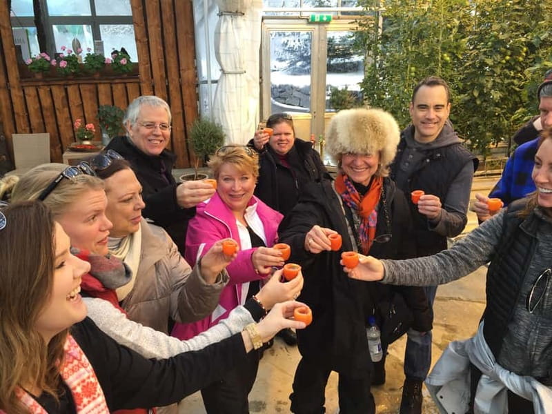 Reykjavik: Golden Circle, Fridheimar, & Sky Lagoon Day Trip - Exploring Kerið Crater: A Volcanic Wonder