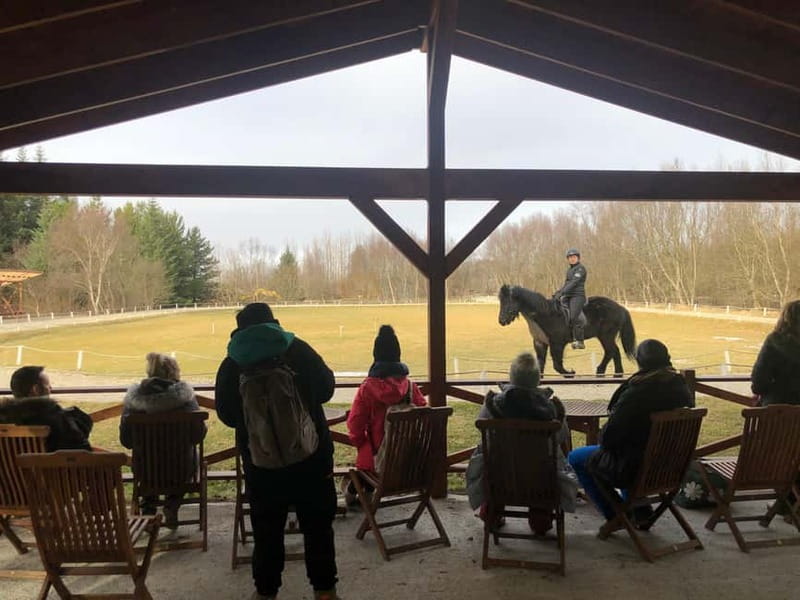 Reykjavik: Golden Circle, Fridheimar, & Sky Lagoon Day Trip - Witnessing the Power of Geysir Geothermal Park