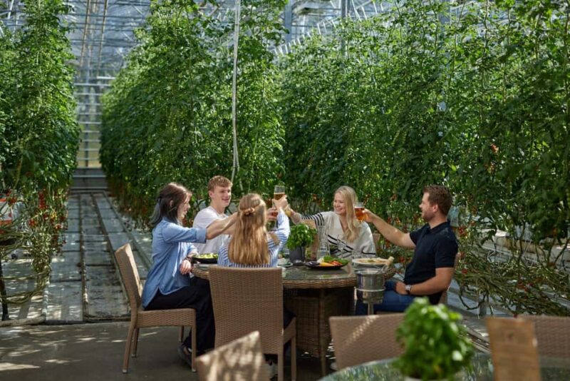 Reykjavik: Golden Circle, Geothermal Lagoon & Fridheimar - Considerations and Practical Tips