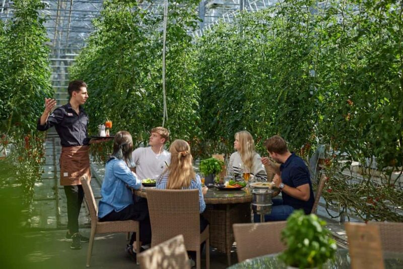 Reykjavík: Golden Circle, Laugaras Lagoon & Fridheimar - Key Points