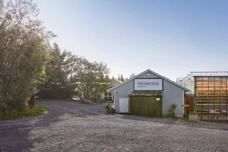 Reykjavík: Golden Circle, Laugaras Lagoon & Fridheimar - Gullsoss Waterfall: Iceland’s Power in Motion