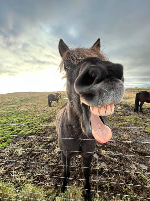 Reykjavik: Golden Circle Private Tour - How This Tour Compares to Others