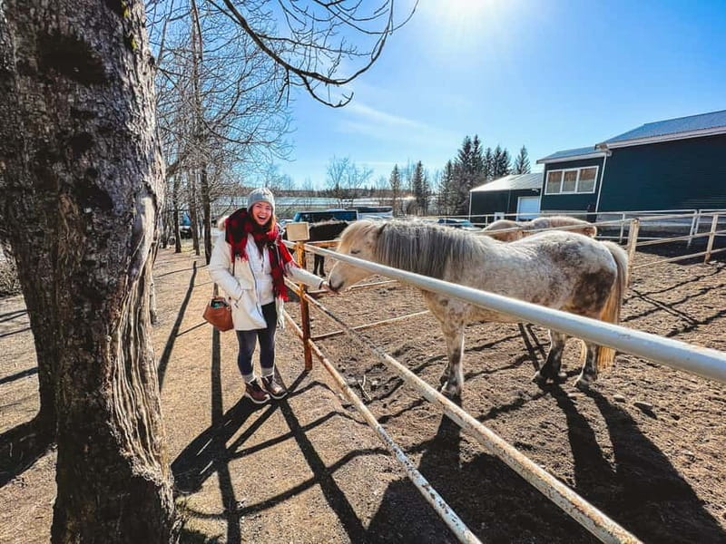 Reykjavík: Golden Circle & Secret Lagoon Day Trip with Lunch - Final Thoughts on the Reykjavík Golden Circle & Secret Lagoon Tour