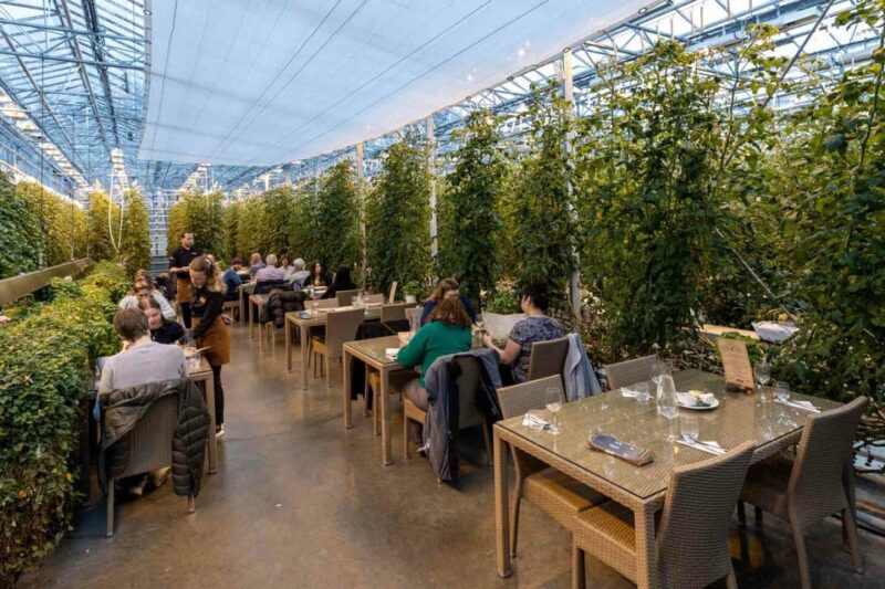 Reykjavik: Golden Circle with Laugarvatn Fontana Admission - Exploring the Historical and Geological Significance of Þingvellir