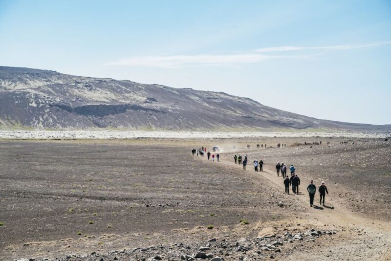 Reykjavik: Guided Tour to Volcano and Reykjanes Geopark - Scenic Drive Along Volcanic Plains and Rugged Coastlines