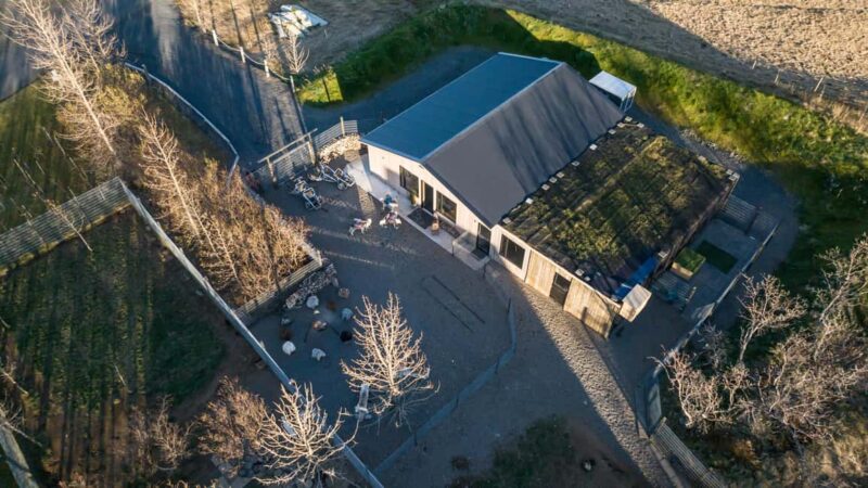 Reykjavík: Husky Kennel Visit with Hot Drinks - Learning About Dog Sledding and Huskies’ Role in Iceland