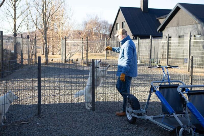 Reykjavík: Husky Kennel Visit with Hot Drinks - Final Thoughts on the Husky Kennel Experience