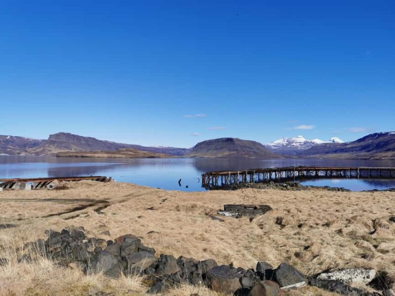 Reykjavik: Iceland's role in WWII - Private Day Trip - Practical Details and Tour Logistics