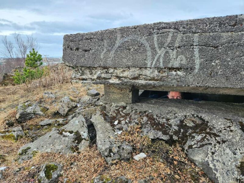 Reykjavik: Iceland's role in WWII - Private Day Trip - Physical Requirements and Accessibility