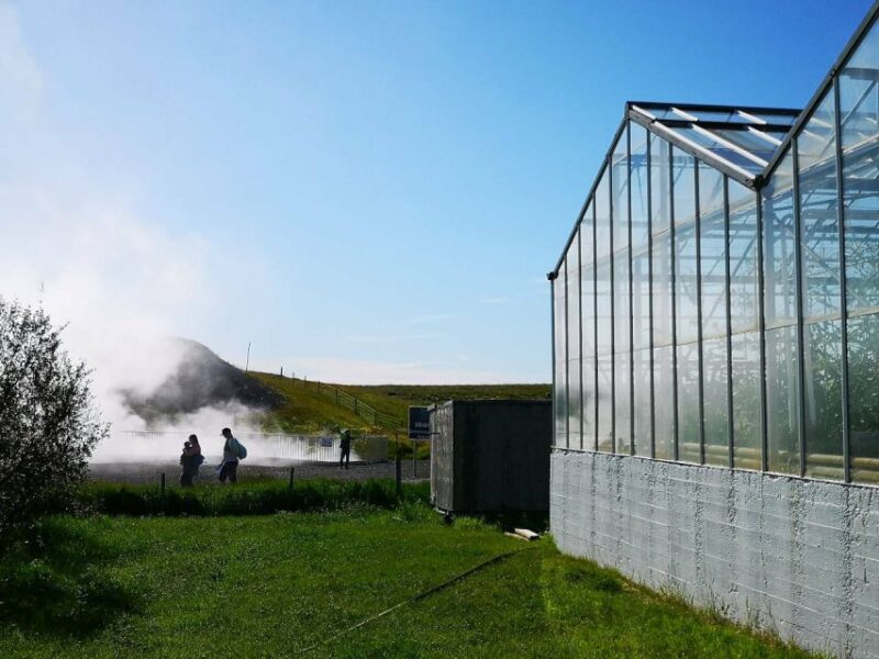 Reykjavik: Lava Cave, Hot Springs, Horses & Waterfalls Tour - Exploring the Viðgelmir Lava Cave