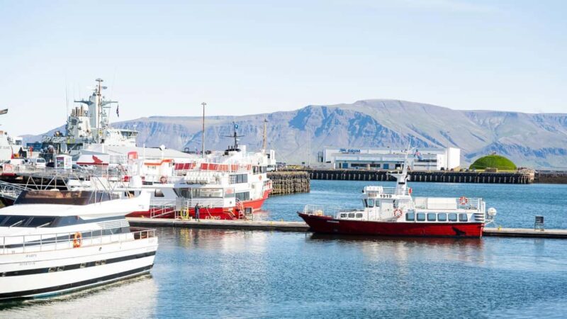 Reykjavik: Maritime History Walking Tour - Exploring Miðbakki Harbor and Its Maritime Heritage