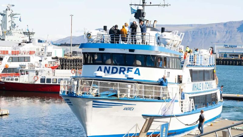 Reykjavik: Maritime History Walking Tour - Visiting and Touring the Reykjavik Maritime Museum