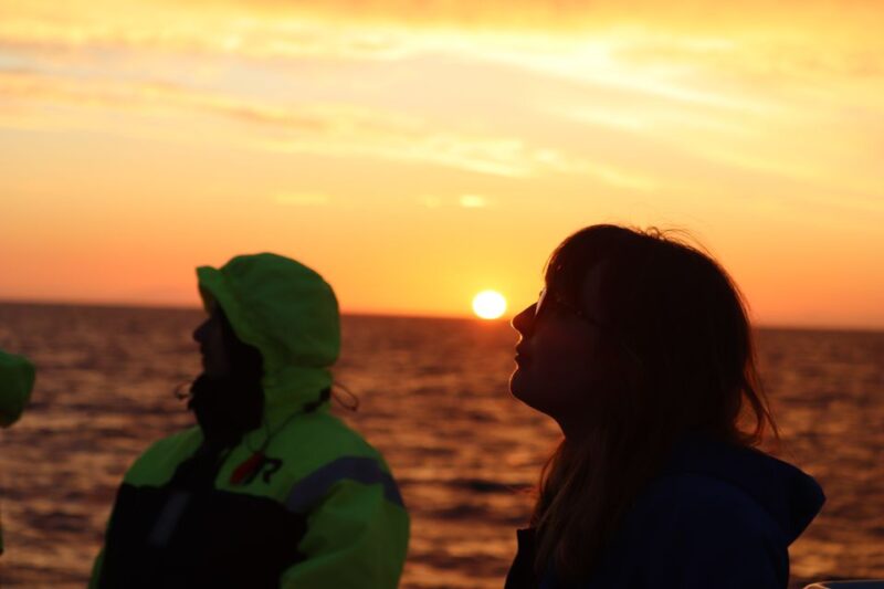 Reykjavík: Midnight Sun Whale Watching Cruise - The Experience Under the Midnight Sun