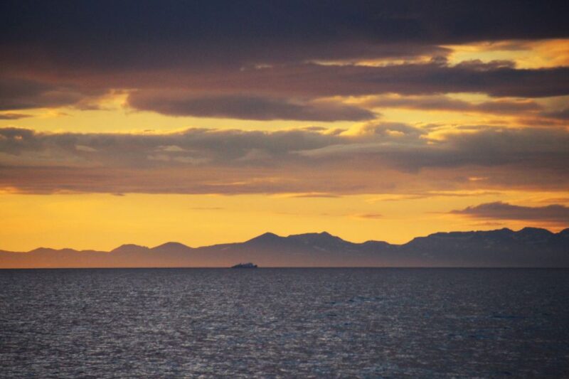Reykjavík: Midnight Sun Whale Watching Cruise - Comparing This Tour to Other Reykjavík Whale Trips
