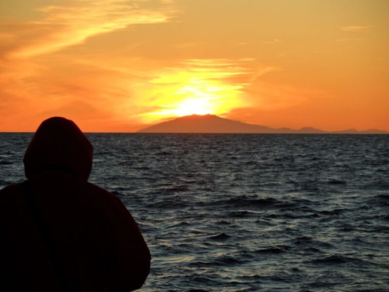 Reykjavik: Midnight Sun Whale Watching Tour - The Boat and Onboard Comforts