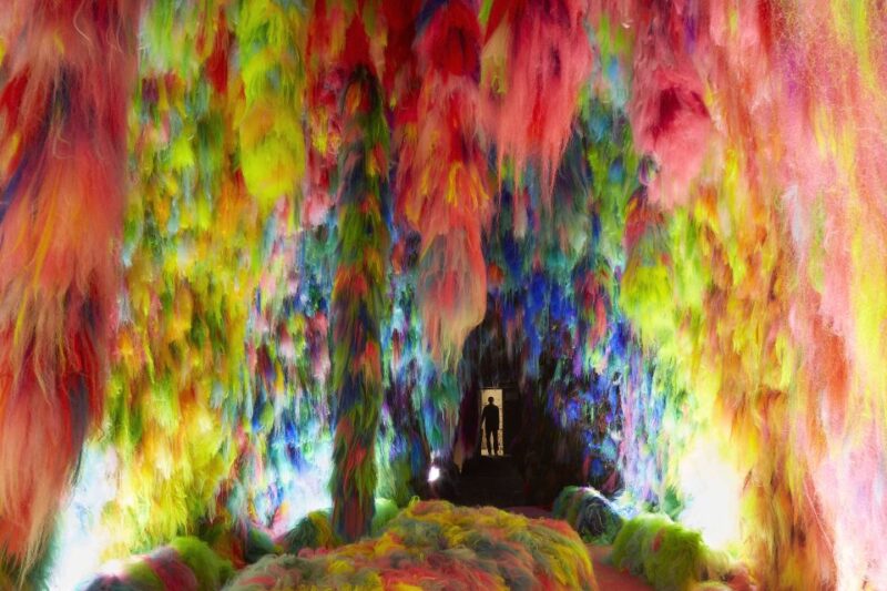 Reykjavík: Multi-Sensory Art Installation Chromo Sapiens - Encounter the Art of Shoplifter / Hrafnhildur Arnardóttir