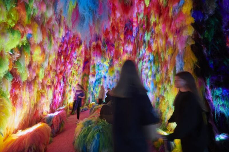 Reykjavík: Multi-Sensory Art Installation Chromo Sapiens - The Transformation: From Homo Sapiens to Chromo Sapiens