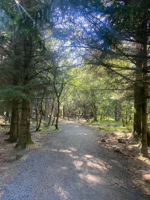 Reykjavik: Nature Loop Bike Tour from Nauthólsvík Beach - The Guide and Group Size Experience