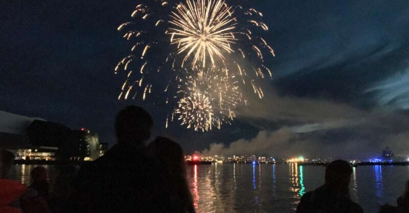 Reykjavik: New Year's Eve Fireworks Cruise - Key Points