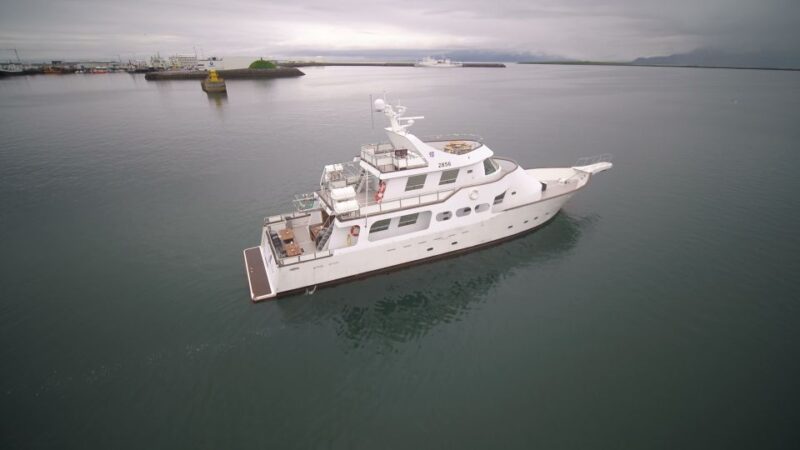 Reykjavik: New Years Fireworks Midnight Cruise - Weather and Aurora Potential