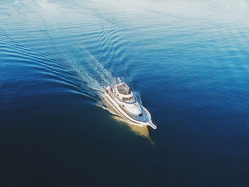 Reykjavik: New Years Fireworks Midnight Cruise - Who Will Appreciate This Cruise the Most?