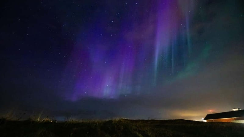 Reykjavik: Northern Lights Adventure Tour with Hot Chocolate - Expert Guides Provide Insight into the Aurora Borealis