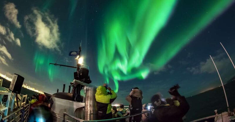 Reykjavik: Northern Lights Guided Boat Tour - Viewing the Aurora Borealis from the Ocean