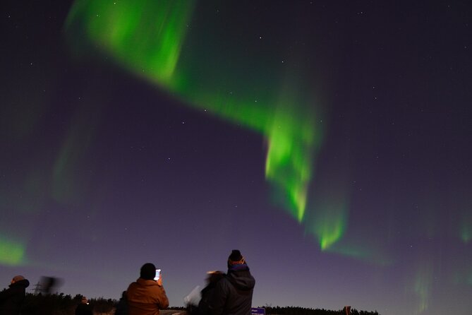 Reykjavik: Northern Lights Tour - Pro Aurora Photos - Small Group - The Likelihood of Seeing the Aurora and Weather Dependence