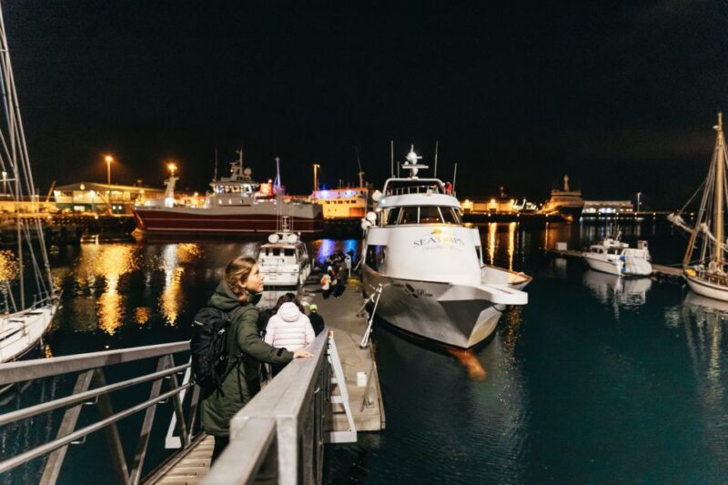 Reykjavik: Northern Lights Yacht Tour - Practical Tips for a Successful Northern Lights Yacht Tour
