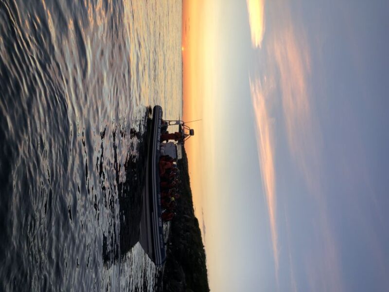 Reykjavik: Premium Whale and Puffin Watching Evening Tour - Encountering Puffins Near Wind-Exposed Islands