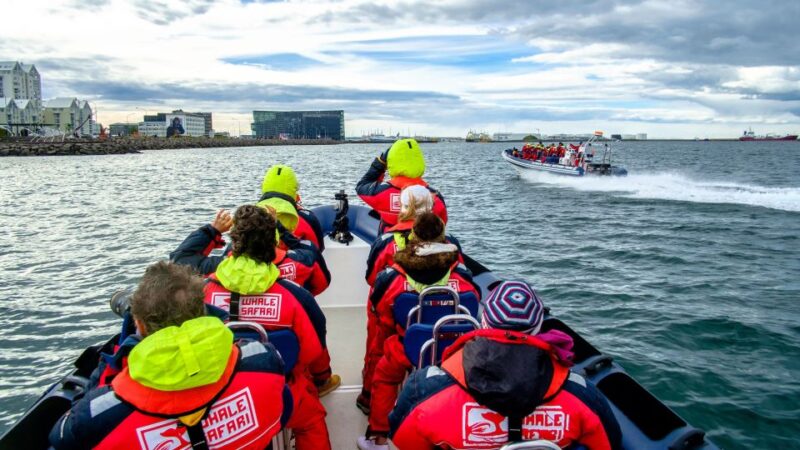Reykjavik: Premium Whale Watching with Flexible Ticket - Who Will Enjoy This Tour Most?