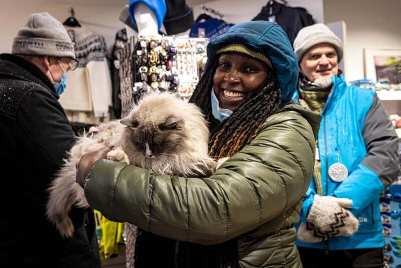 Reykjavik: Private Folklore and Catwalk Walking Tour - Visiting the Reykjavik Cat Coffeehouse