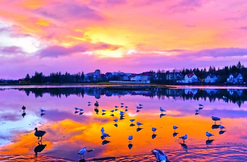 Reykjavik: Private Night Tour - Key Points