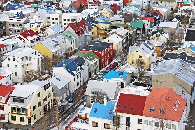 Reykjavik Private Walking Tour With A Professional Guide - Key Points