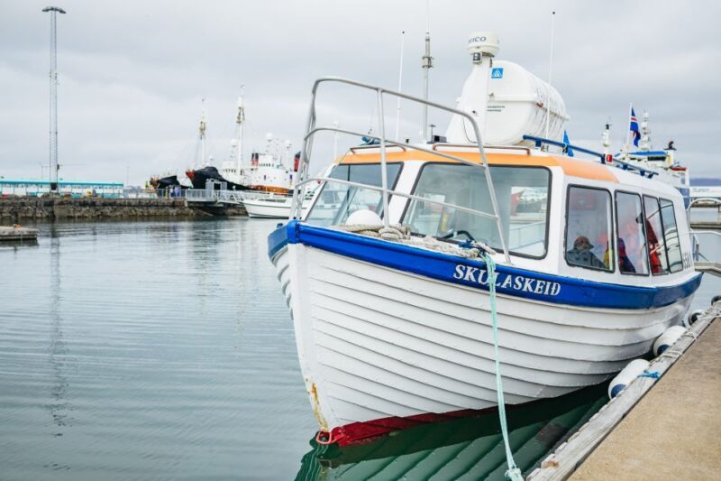 Reykjavik: Puffin Watching Boat Tour - What to Expect During the Puffin Sightings