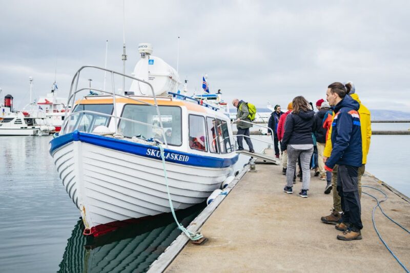 Reykjavik: Puffin Watching Boat Tour - The Role of Guides and Captain