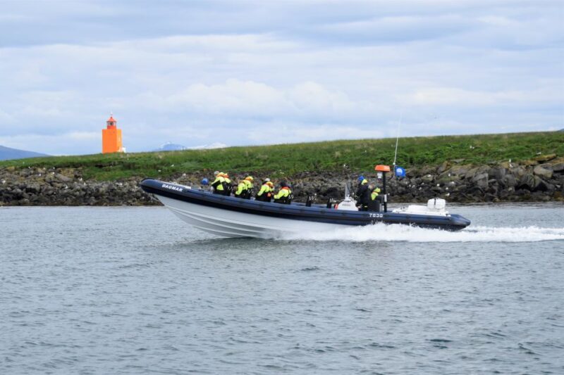 Reykjavik: Puffin Watching Tour by RIB Speedboat - Exciting Speedboat Ride to Lundey and Akurey Islands