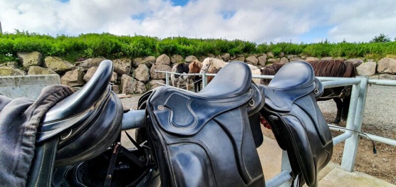 Reykjavik: Red Lava Horse Riding Tour - Scenery and Photographic Opportunities