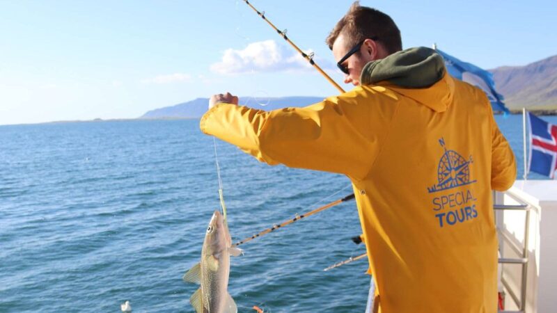 Reykjavik: Sea Fishing Boat Tour & BBQ with the Day's Catch - Spotting Puffins and Marine Life during the Trip