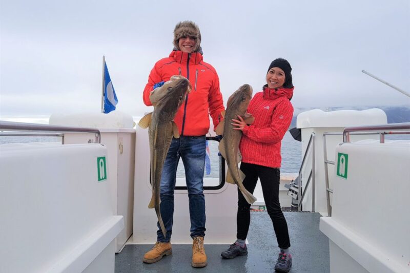 Reykjavik: Sea Fishing Boat Tour & BBQ with the Day's Catch - Physical Requirements and Accessibility