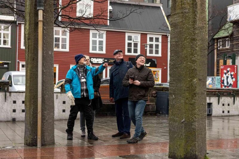 Reykjavik: Sightseeing Walking Tour with a Viking - Practical Tips for Participants