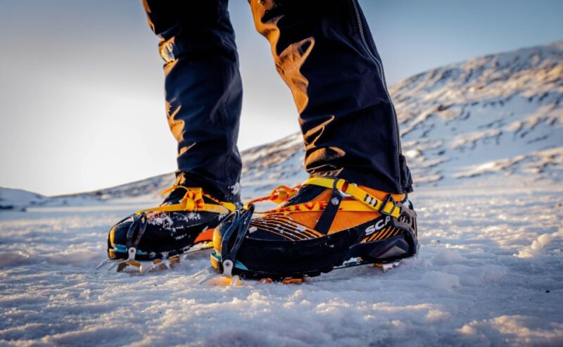 Reykjavik: South Coast Activity Tours - Key Points