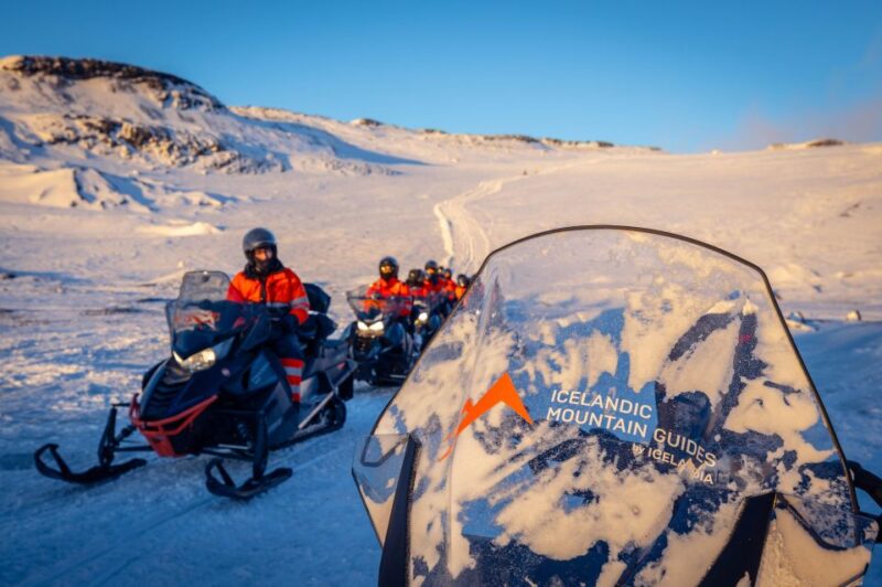 Reykjavik: South Coast Activity Tours - Logistics and Group Sizes