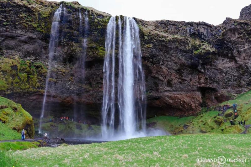 Reykjavik: South Coast, Waterfalls, Black Beach Private Tour - Why This Tour Offers Excellent Value