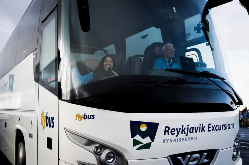 Reykjavik: The Golden Circle Full-Day Tour - The Guide’s Approach and Local Expertise