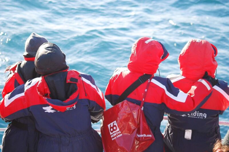 Reykjavik: the Original 3-Hour Whale Watching Tour - Weather and Seasonal Considerations