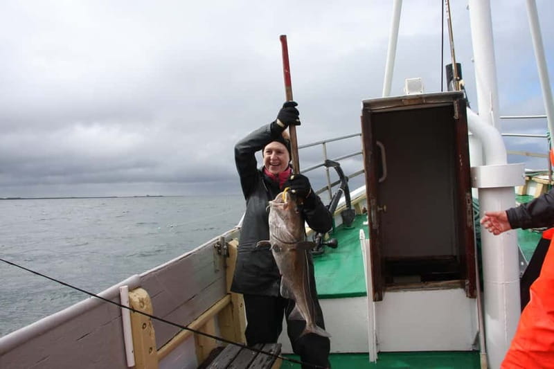 Reykjavik: Traditional Sea Fishing with BBQ Feast - Encounter the Wildlife and Sea Views Outside Reykjavík